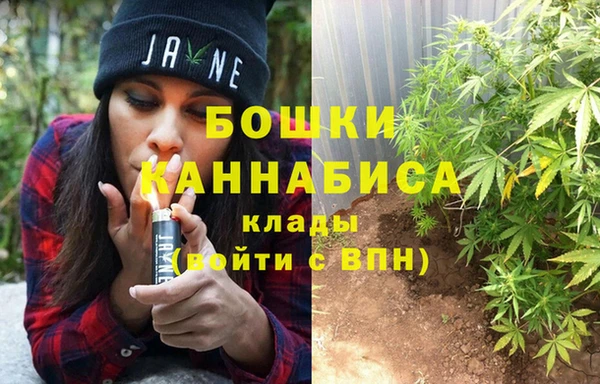 МДПВ Алексин