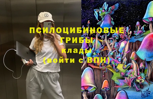 спайс Рославль