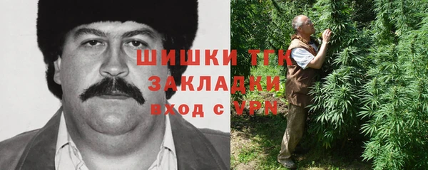 МДПВ Алексин