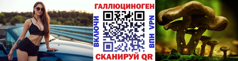 закладки  Бронницы  Псилоцибиновые грибы Magic Shrooms 